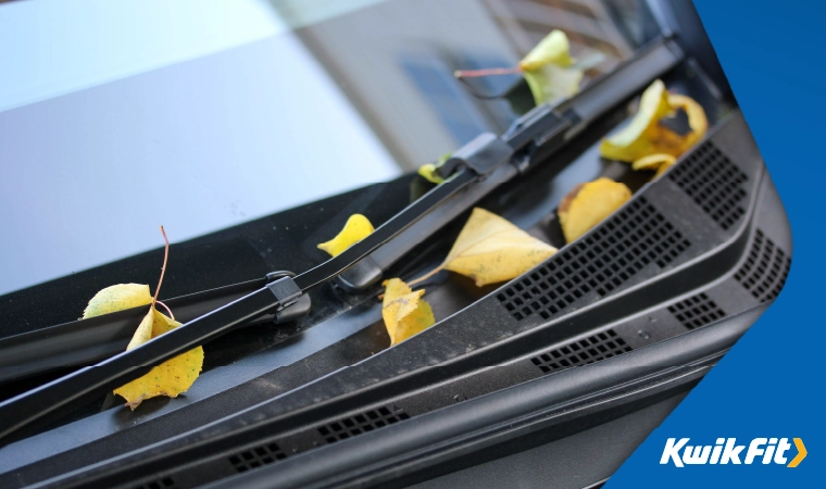 front window with leaves under the wiper
